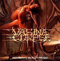 Vagina Corpse : Indonesian Brutality Promo